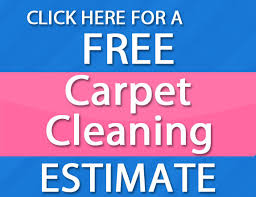 1b7eb0e5-2af0-4e28-bf7a-44427e5e7ead_carpet cleaning